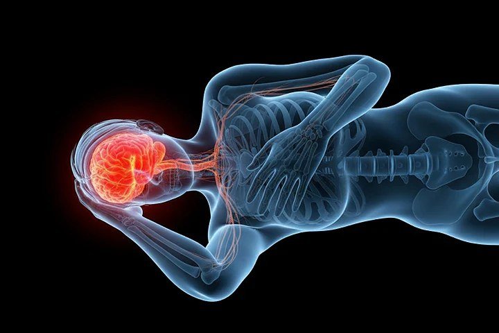 The brain remaining active while the body rests